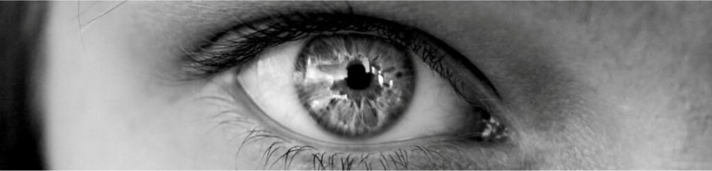 Market research and the OCEAN Big Five Personality Traits – how can personality theories be leveraged in marketing